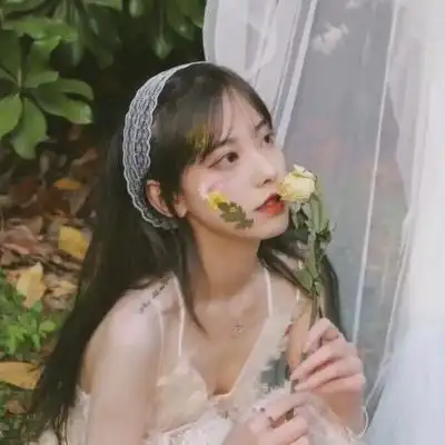 蜘蛛池对SEO黑帽技术的风险分析