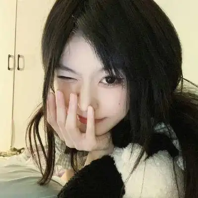 蜘蛛池中的IP地址轮换策略